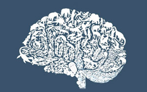 Tjedan mozga 2009